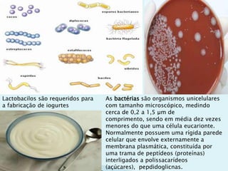 Lactobacilos são requeridos para
a fabricação de iogurtes
As bactérias são organismos unicelulares
com tamanho microscópico, medindo
cerca de 0,2 a 1,5 μm de
comprimento, sendo em média dez vezes
menores do que uma célula eucarionte.
Normalmente possuem uma rígida parede
celular que envolve externamente a
membrana plasmática, constituída por
uma trama de peptídeos (proteínas)
interligados a polissacarídeos
(açúcares), pepdidoglicnas.
 