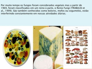 Por muito tempo os fungos foram considerados vegetais mas a partir de
1969, foram classificados em um reino à parte, o Reino Fungi (TRABULSI et
al., 1999). São também conhecidos como bolores, mofos ou cogumelos, estão
interferindo constantemente em nossas atividades diárias.
 