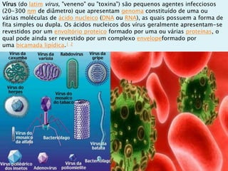 Vírus (do latim virus, "veneno" ou "toxina") são pequenos agentes infecciosos
(20-300 ηm de diâmetro) que apresentam genoma constituído de uma ou
várias moléculas de ácido nucleico (DNA ou RNA), as quais possuem a forma de
fita simples ou dupla. Os ácidos nucleicos dos vírus geralmente apresentam-se
revestidos por um envoltório proteico formado por uma ou várias proteínas, o
qual pode ainda ser revestido por um complexo envelopeformado por
uma bicamada lipídica.1 2
 