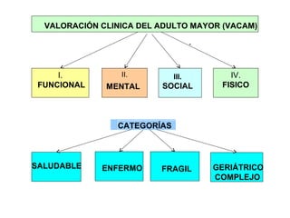 VALORACIÓN CLINICA DEL ADULTO MAYOR (VACAM)
-

I.
FUNCIONAL

II.

III.

MENTAL

SOCIAL

IV.
FISICO

CATEGORÍAS

SALUDABLE

ENFERMO

FRAGIL

GERIÁTRICO
COMPLEJO

 