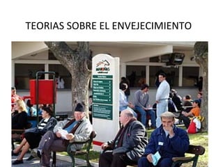 TEORIAS SOBRE EL ENVEJECIMIENTO

 