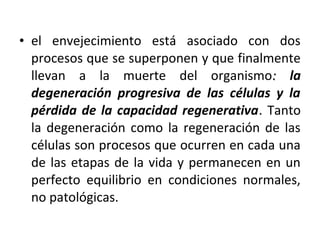 • el envejecimiento está asociado con dos
procesos que se superponen y que finalmente
llevan a la muerte del organismo: la
degeneración progresiva de las células y la
pérdida de la capacidad regenerativa. Tanto
la degeneración como la regeneración de las
células son procesos que ocurren en cada una
de las etapas de la vida y permanecen en un
perfecto equilibrio en condiciones normales,
no patológicas.

 