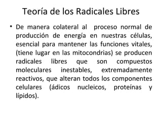 Teoría de los Radicales Libres
• De manera colateral al proceso normal de
producción de energía en nuestras células,
esencial para mantener las funciones vitales,
(tiene lugar en las mitocondrias) se producen
radicales libres que son compuestos
moleculares inestables, extremadamente
reactivos, que alteran todos los componentes
celulares (ádicos nucleicos, proteínas y
lípidos).

 