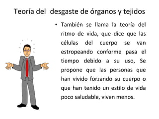 Teoría del desgaste de órganos y tejidos
• También se llama la teoría del
ritmo de vida, que dice que las
células del cuerpo se van
estropeando conforme pasa el
tiempo debido a su uso, Se
propone que las personas que
han vivido forzando su cuerpo o
que han tenido un estilo de vida
poco saludable, viven menos.

 