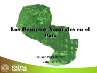 Ing. Agr. Paula Durruty
Julio - 2016
Los Recursos Naturales en elLos Recursos Naturales en el
PaísPaís
 