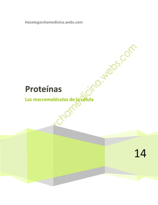 Hacetegarchamedicina.webs.com

Proteínas
Las macromoléculas de la célula

14

 