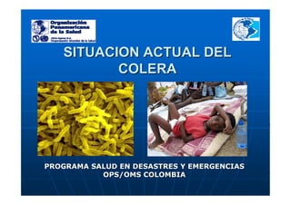 SITUACION ACTUAL DEL
          COLERA




PROGRAMA SALUD EN DESASTRES Y EMERGENCIAS
           OPS/OMS COLOMBIA
 