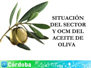SITUACIÓN DEL SECTOR Y OCM DEL ACEITE DE OLIVA  