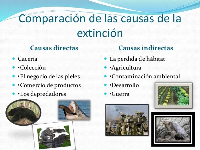 Situacion de-nuestro-planeta 3