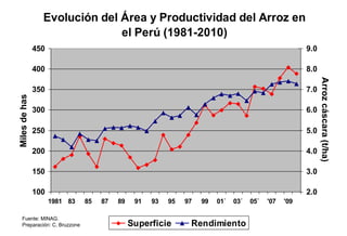 Situacion actual del mejoramiento genetico del arroz en America Latina y el Caribe caso Peru