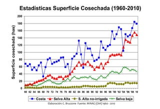 Situacion actual del mejoramiento genetico del arroz en America Latina y el Caribe caso Peru
