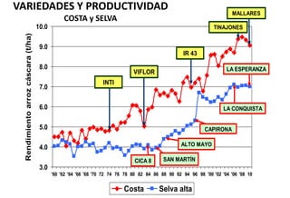 Situacion actual del mejoramiento genetico del arroz en America Latina y el Caribe caso Peru