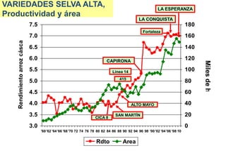 Situacion actual del mejoramiento genetico del arroz en America Latina y el Caribe caso Peru