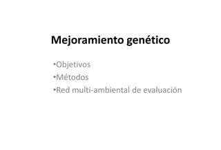 Situacion actual del mejoramiento genetico del arroz en America Latina y el Caribe caso Peru