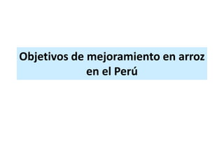 Situacion actual del mejoramiento genetico del arroz en America Latina y el Caribe caso Peru