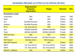 Situacion actual del mejoramiento genetico del arroz en America Latina y el Caribe caso Peru
