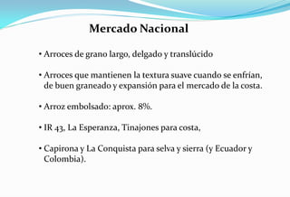 Situacion actual del mejoramiento genetico del arroz en America Latina y el Caribe caso Peru