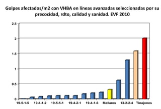 Situacion actual del mejoramiento genetico del arroz en America Latina y el Caribe caso Peru
