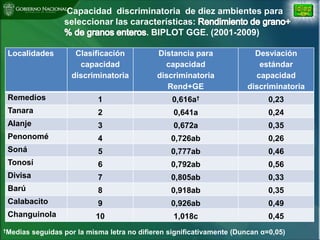 Situacion actual mejoramiento genetico arroz Panama