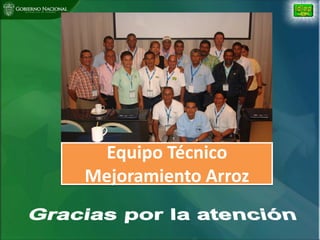 Situacion actual mejoramiento genetico arroz Panama