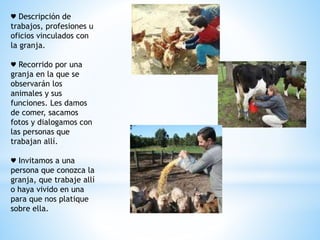 ♥ Descripción de 
trabajos, profesiones u 
oficios vinculados con 
la granja. 
♥ Recorrido por una 
granja en la que se 
observarán los 
animales y sus 
funciones. Les damos 
de comer, sacamos 
fotos y dialogamos con 
las personas que 
trabajan allí. 
♥ Invitamos a una 
persona que conozca la 
granja, que trabaje allí 
o haya vivido en una 
para que nos platique 
sobre ella. 
 