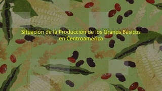 Situación de la Producción de los Granos Básicos 
en Centroamérica 
 