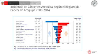 SITUACION DEL CANCER EN EL PERU 2021.pdf