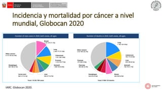 SITUACION DEL CANCER EN EL PERU 2021.pdf