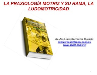 1
LA PRAXIOLOGÍA MOTRIZ Y SU RAMA, LA
LUDOMOTRICIDAD
Dr. José Luis Cervantes Guzmán
jlcervantesg@sepal.com.mx
www.sepal.com.mx
 