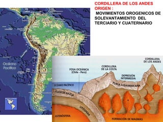 CORDILLERA DE LOS ANDES ORIGEN : MOVIMIENTOS OROGENICOS DE SOLEVANTAMIENTO  DEL TERCIARIO Y CUATERNARIO 