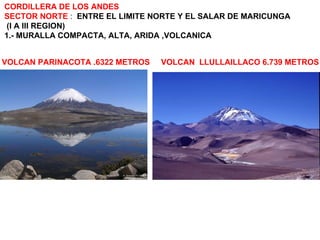 CORDILLERA DE LOS ANDES SECTOR NORTE  :  ENTRE EL LIMITE NORTE Y EL SALAR DE MARICUNGA (I A III REGION) 1.- MURALLA COMPACTA, ALTA, ARIDA ,VOLCANICA VOLCAN PARINACOTA .6322 METROS  VOLCAN  LLULLAILLACO 6.739 METROS 