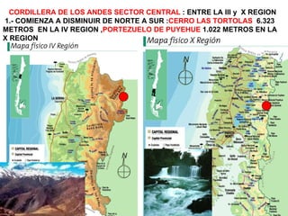 CORDILLERA DE LOS ANDES SECTOR CENTRAL  : ENTRE LA III y  X REGION 1.- COMIENZA A DISMINUIR DE NORTE A SUR : CERRO LAS TORTOLAS   6.323 METROS  EN LA IV REGION , PORTEZUELO DE PUYEHUE  1.022 METROS EN LA X REGION 