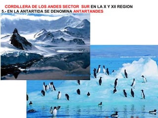 CORDILLERA DE LOS ANDES SECTOR  SUR  EN LA X Y XII REGION 5.- EN LA ANTARTIDA SE DENOMINA  ANTARTANDES   