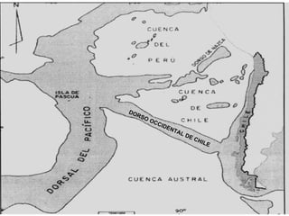 DORSO OCCIDENTAL DE CHILE 
