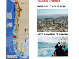 PLANICIES LITORALES LIMITE NORTE  CON EL PERU LIMITE SUR CANAL DE CHACAO 