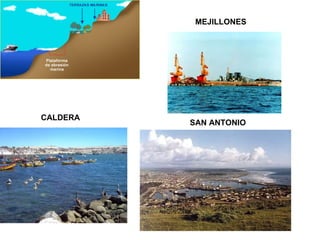 MEJILLONES CALDERA SAN ANTONIO 