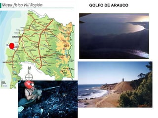 GOLFO DE ARAUCO 