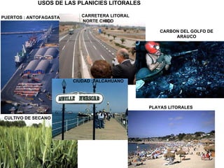 USOS DE LAS PLANICIES LITORALES PUERTOS : ANTOFAGASTA CARRETERA LITORAL NORTE CHICO CARBON DEL GOLFO DE ARAUCO CULTIVO DE SECANO CIUDAD :TALCAHUANO PLAYAS LITORALES 