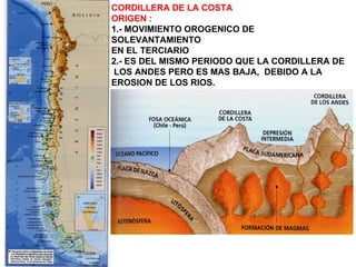 CORDILLERA DE LA COSTA ORIGEN : 1.- MOVIMIENTO OROGENICO DE SOLEVANTAMIENTO EN EL TERCIARIO 2.- ES DEL MISMO PERIODO QUE LA CORDILLERA DE LOS ANDES PERO ES MAS BAJA,  DEBIDO A LA EROSION DE LOS RIOS. 