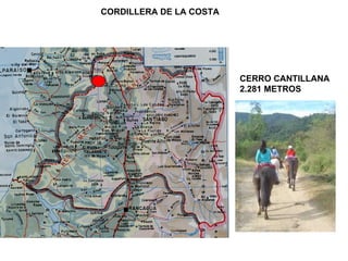CORDILLERA DE LA COSTA CERRO CANTILLANA 2.281 METROS 