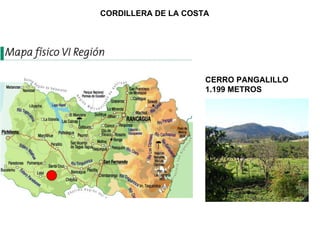 CORDILLERA DE LA COSTA CERRO PANGALILLO 1.199 METROS 