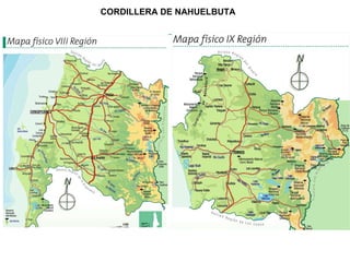 CORDILLERA DE NAHUELBUTA 