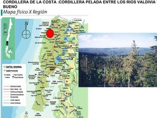CORDILLERA DE LA COSTA :CORDILLERA PELADA ENTRE LOS RIOS VALDIVIA Y BUENO 