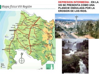 DEPRESION INTERMEDIA  : EN LA VIII SE PRESENTA COMO UNA PLANICIE ONDULADA POR LA  EROSION DE LOS RIOS. 