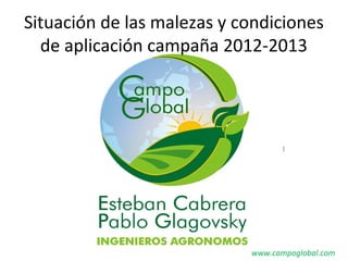 Situación de las malezas y condiciones
de aplicación campaña 2012-2013
www.campoglobal.com
 