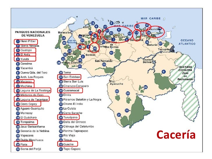 Resultado de imagen para INVASIONES EN LOS PARQUE NACIONALES DE VENEZUELA
