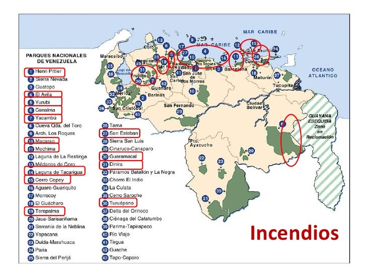 Situación de los Parques Nacionales de Venezuela en los últimos diez