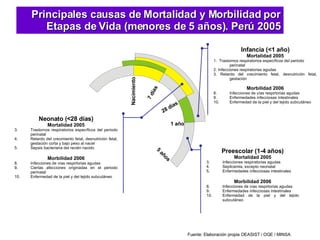 Principales causas de Mortalidad y Morbilidad por Etapas de Vida (menores de 5 años). Perú 2005 Fuente: Elaboración propia OEASIST / OGE / MINSA Neonato (<28 días) Mortalidad 2005 Trastornos respiratorios específicos del periodo perinatal Retardo del crecimiento fetal, desnutrición fetal, gestación corta y bajo peso al nacer Sepsis bacteriana del recién nacido Morbilidad 2006 Infecciones de vías respirtorias agudas Ciertas afecciones originadas en el periodo perinatal Enfermedad de la piel y del tejido subcutáneo Preescolar (1-4 años) Mortalidad 2005 Infecciones respiratorias agudas Septicemia, excepto neonatal Enfermedades infecciosas intestinales Morbilidad 2006 Infecciones de vías respirtorias agudas Enfermedades infecciosas intestinales Enfermedad de la piel y del tejido subcutáneo Infancia (<1 año) Mortalidad 2005 1.  Trastornos respiratorios específicos del periodo   perinatal 2.  Infecciones respiratorias agudas 3. Retardo del crecimiento fetal, desnutrición fetal, gestación Morbilidad 2006 Infecciones de vías respirtorias agudas Enfermedades infecciosas intestinales Enfermedad de la piel y del tejido subcutáneo Nacimiento 7 días 28 días 1 año 5 años 