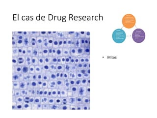 El cas de Drug Research
• Mitosi
 