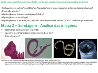 Após essa sensibilização com o texto ,continuar a discussão com mais questionamentos:
-Vocês conhecem outros “micróbios” ou “parasitas” como os que causaram a doença do Jeca tatuzinho?
- O que são parasitas?
- Alguém já ouviu falar em Lombriga ou Solitária?
- Alguém já tomou vermífugo?
- Alguém já ouviu dizer (mãe, avó, avô, tios) parece que aquele menino (a) está com lombriga ou verme?
Etapa 2 – Sondagem - Análise das imagens:
• Observando as imagens dos responda:
• É possível identificar esses vermes no nosso dia-a-dia?
• Onde eles vivem?
Fonte figuras: http://upload.wikimedia.org/wikipedia/commons/6/66/Taenia_solium_scolex.JPG;
http://3.bp.blogspot.com/_wVIfsH0HWTo/TF3X7O7nxEI/AAAAAAAAAhI/dznvgWj5cns/s1600/mansoni.jpg;http://www.bca.org/gallery/bioimages2010/
large/ascaris_lumbricoides_duhttp://4.bp.blogspot.com/_IQPgjFy6Xok/TNMEl4BbdNI/AAAAAAAAAMg/faETgS7-QG0/s320/duodenale.jpgbs.jpg;
 